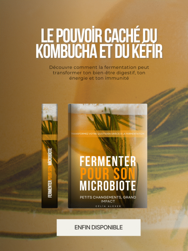 Fermenter pour son microbiote