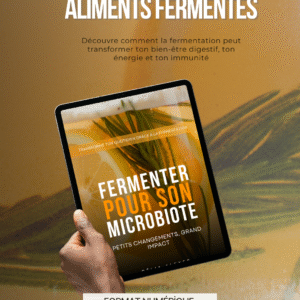 Ebook (Fermenter pour son microbiote)